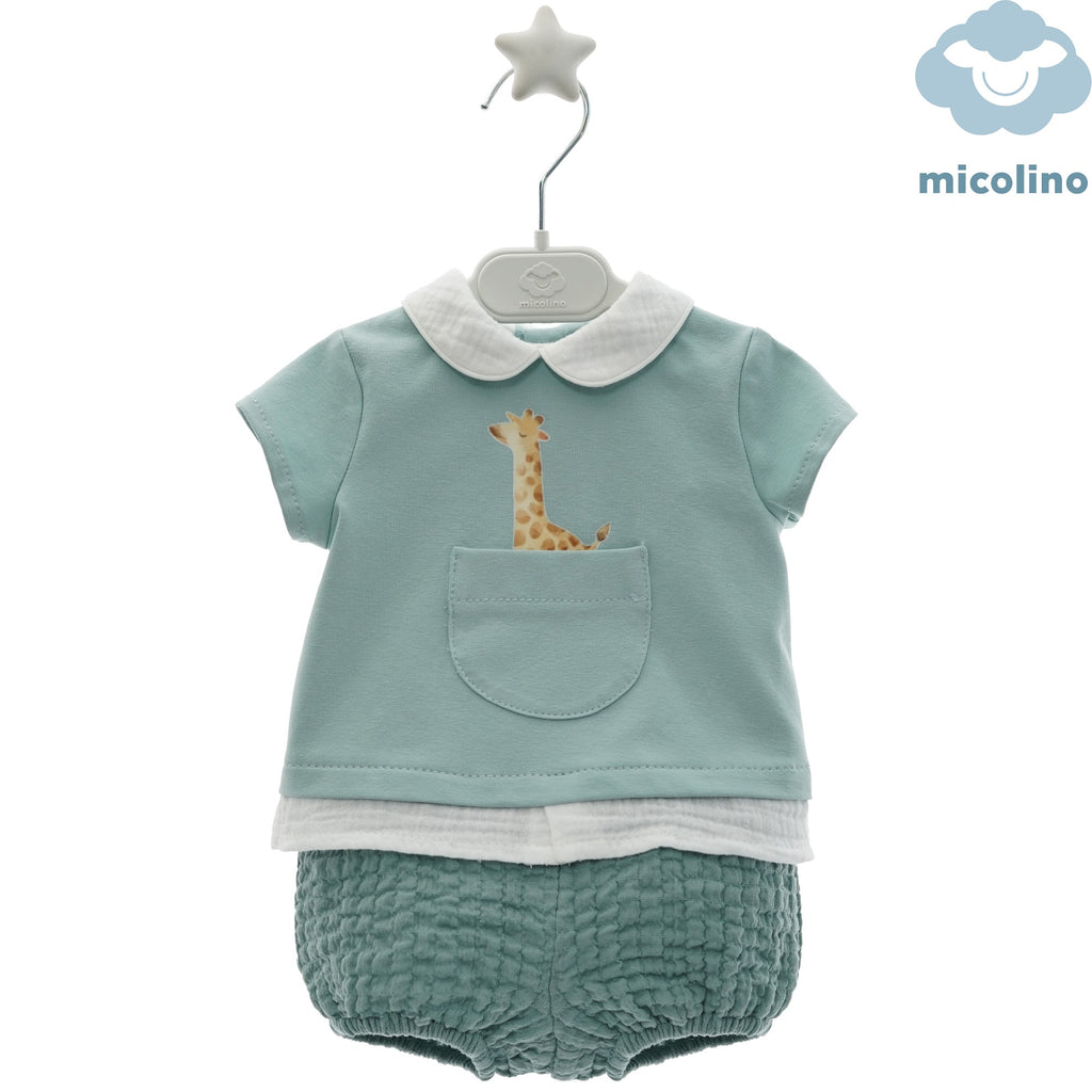 conjunto bombacho safari