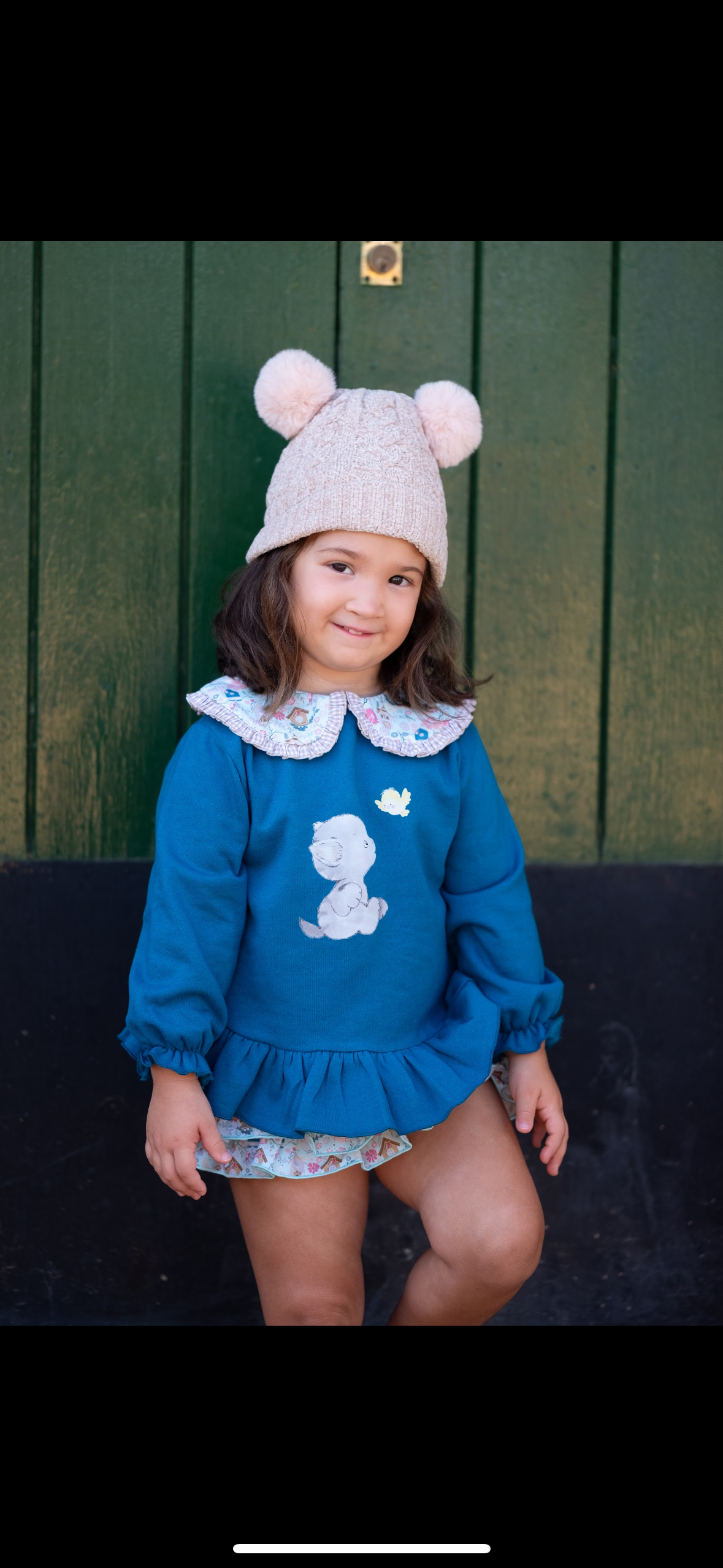 Conjunto sudadera y faldita casita pájaros