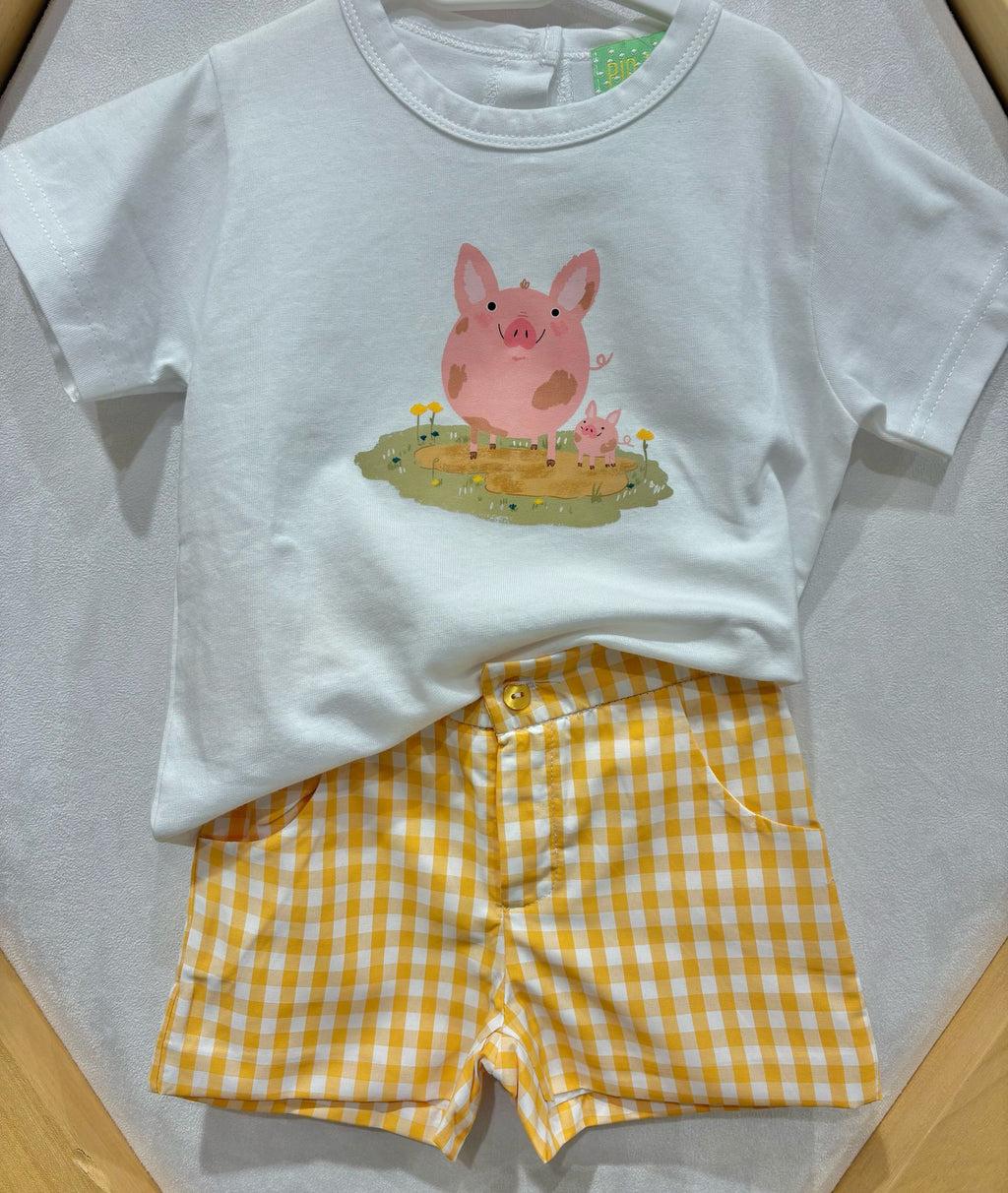 CAMISETA Y PANTALON CERDITO