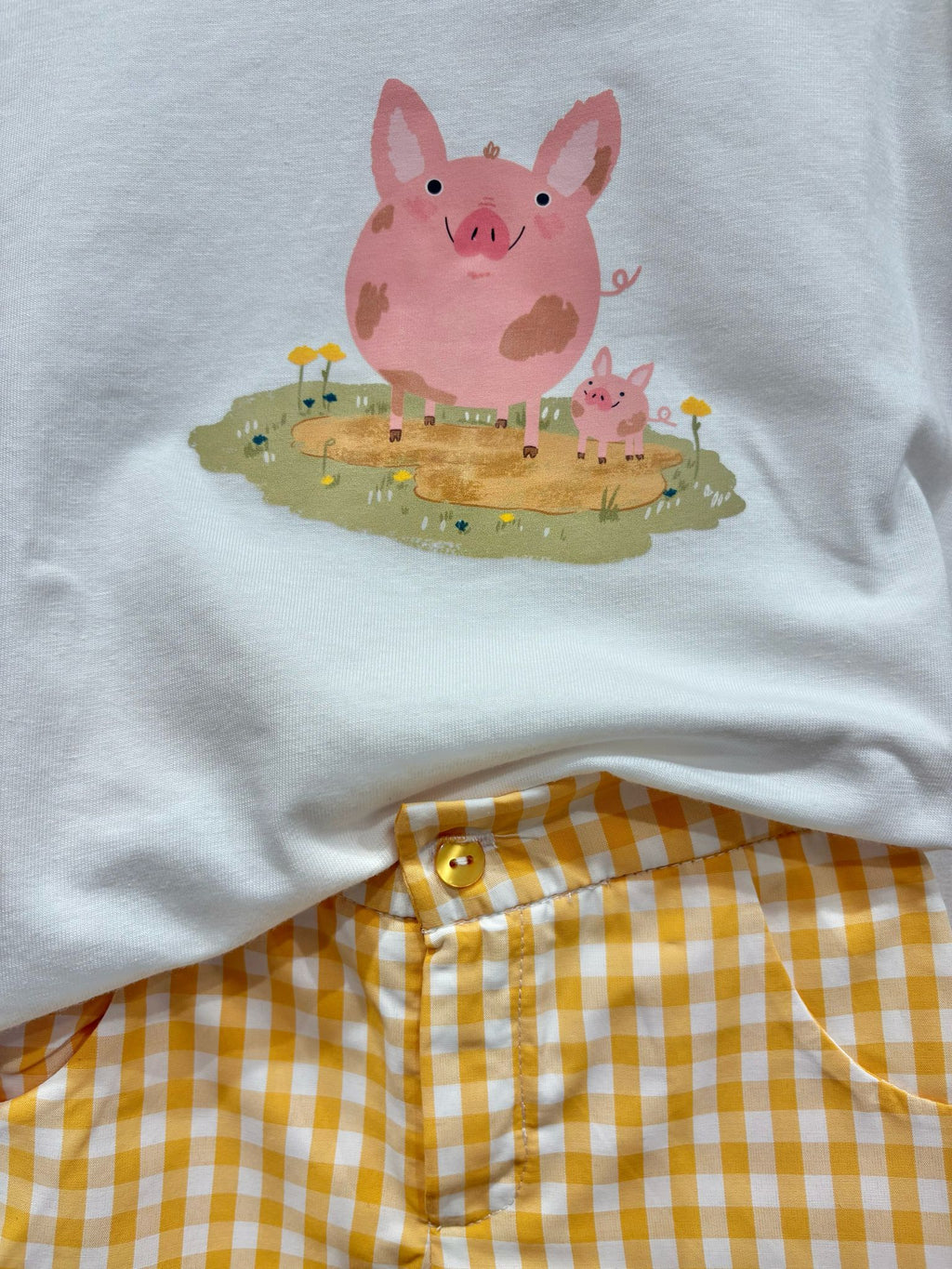 CAMISETA Y PANTALON CERDITO
